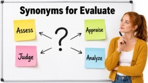 synonyms for evaluate