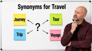 synonyms for travel