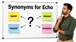 synonyms for echo