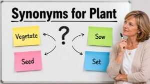 synonyms for plant