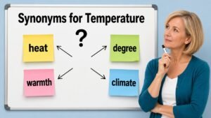 synonyms for temperature