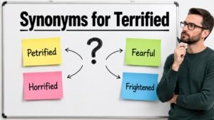 synonyms for terrified