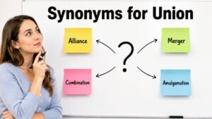 Synonyms for Union